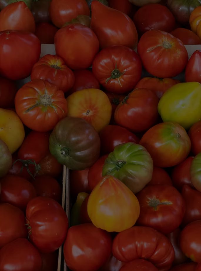 Logiciel agréage pour le contrôle qualité de tomates à réception